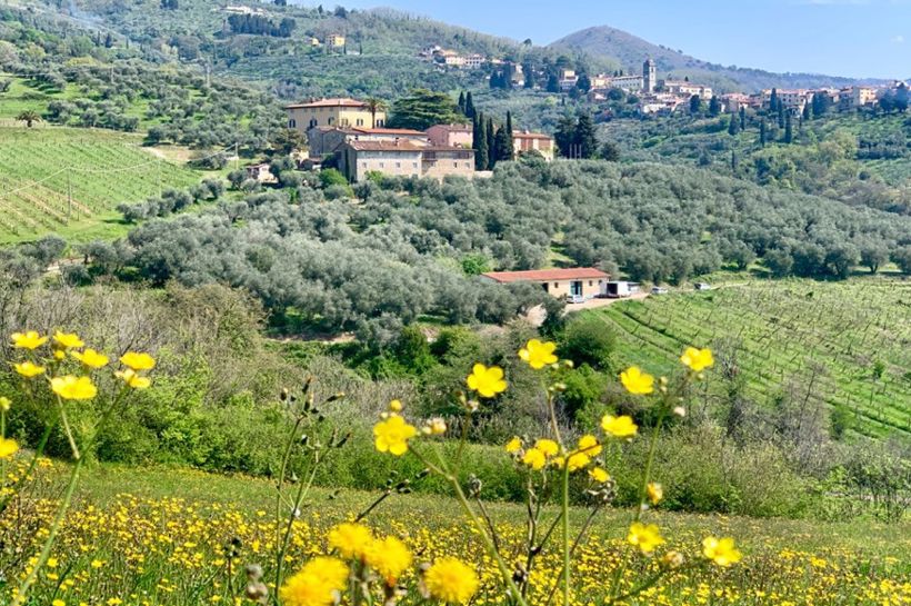 Mat, vin og kultur i Toscana med Temareiser Fredrikstad