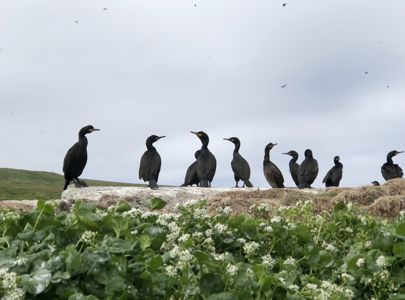 Reise til Finnmark med Temareiser Fredrikstad