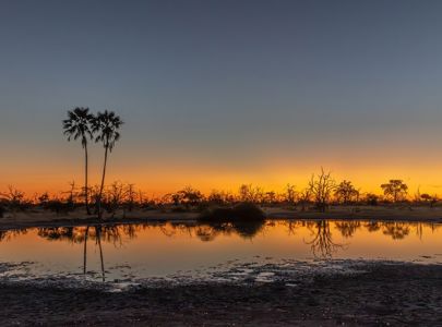 Safari i Afrika - Zimbabwe, Zambia og Botswana med Temareiser Fredrikstad
