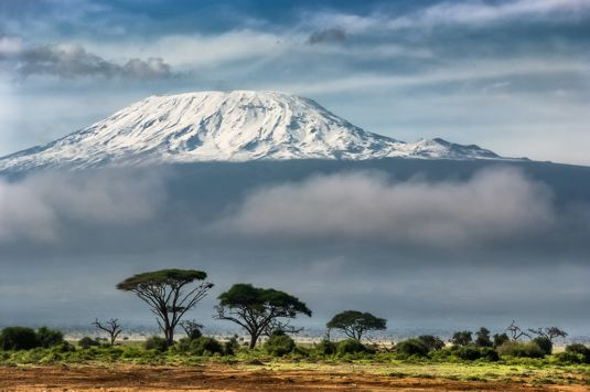 Kilimanjaro med safari