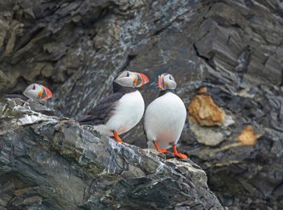 Reise til fantastiske Svalbard med Temareiser Fredrikstad