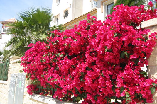 Albir, 2 uker - 08.03.2024
