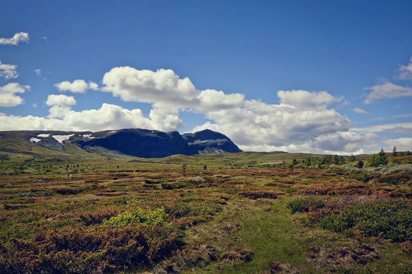 Høsthelg på Brimi Fjellstue med Temareiser Fredrikstad