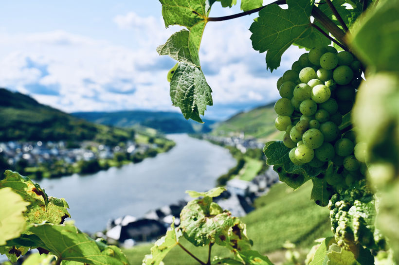 Vakre Rhin- og Moseldalen med Temareiser Fredrikstad