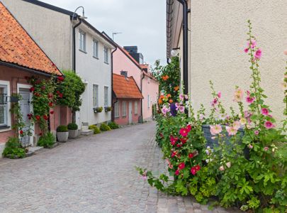 En annerledes Danmarksreise med Temareiser Fredrikstad