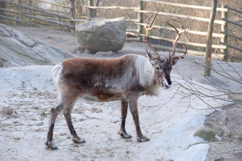 Førjulstur til Stockholm med Temareiser Fredrikstad