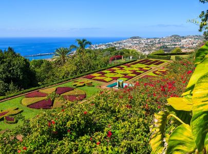 Reise til blomsterøya Madeira med Temareiser Fredrikstad