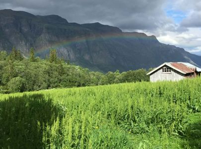 Bussreise til Valdres med Temareiser Fredrikstad