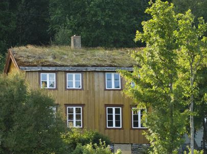 Reise til Steigen, Hamarøy og Tranøy fyr med Temareiser Fredrikstad