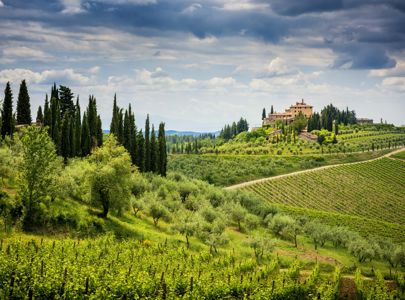 Kulturreise til Toscana med Temareiser Fredrikstad, Vinreise til Toscana