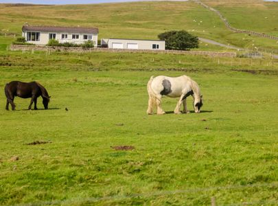 Reise til Shetland og Orknøyene med Temareiser Fredrikstad