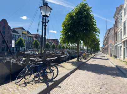 Kunstcruise med Kristine Hardeberg og Temareiser Fredrikstad