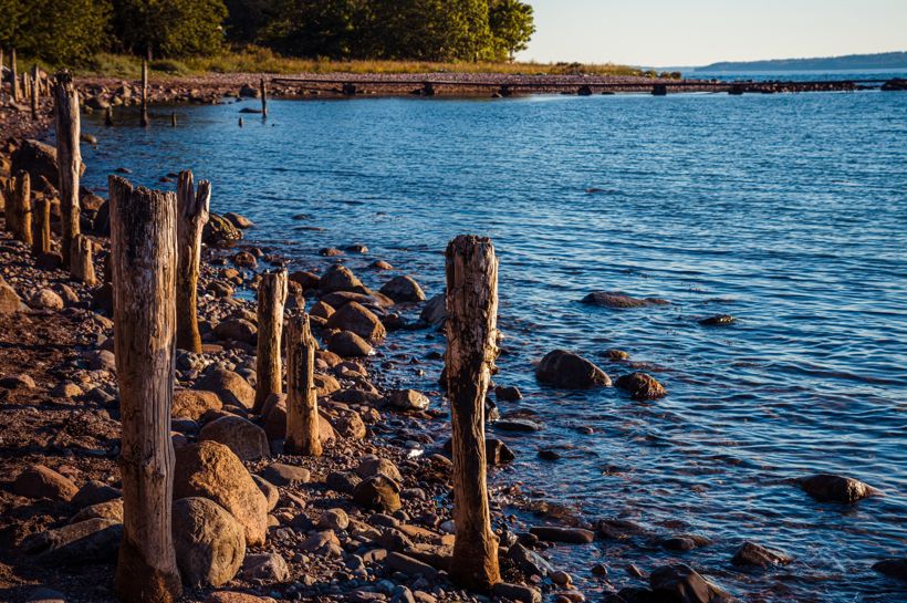 Reise i Munchs fotspor med Temareiser Fredrikstad