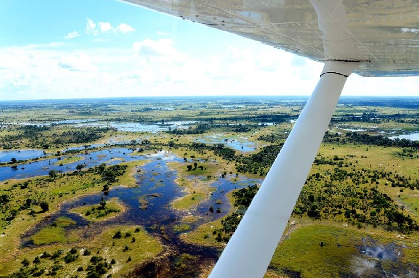 Okavangodeltaet Istock Credit Bah69