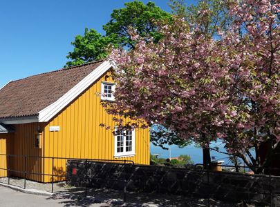 Reise i Munchs fotspor med Temareiser Fredrikstad