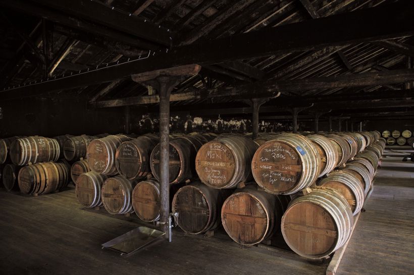 Reise til Braastads vinslott i hjertet av Cognac - Temareiser Fredrikstad