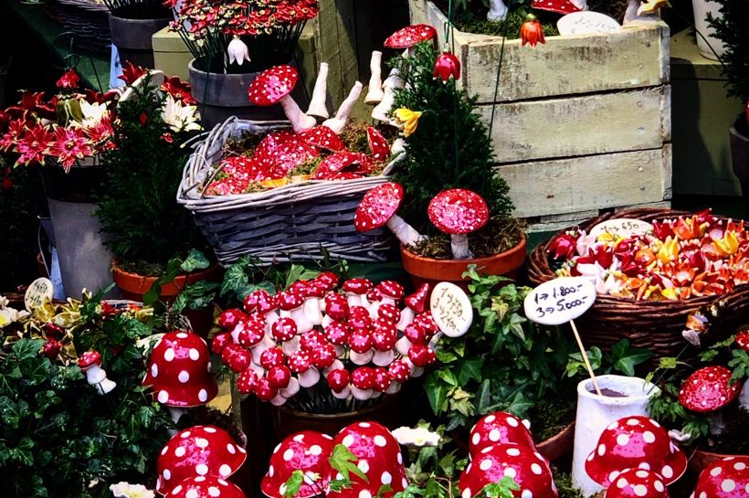 Julemarkedstur til Budapest med Temareiser Fredrikstad