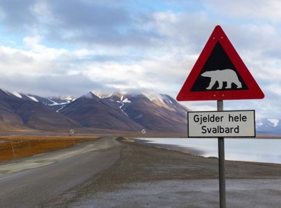 Strikketur til Svalbard med Tove Fevang og Temareiser Fredrikstad