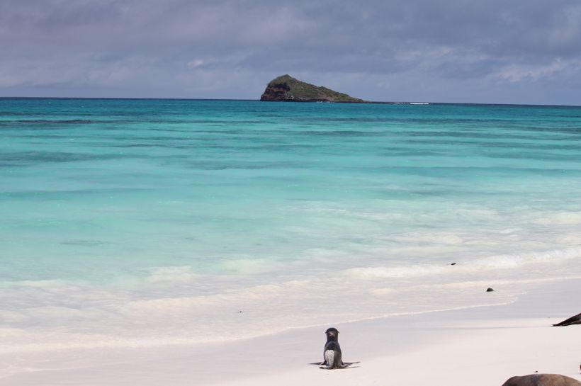 Galapagos