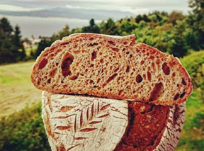 Surdeigsbaking Gomobu med Temareiser Fredrikstad