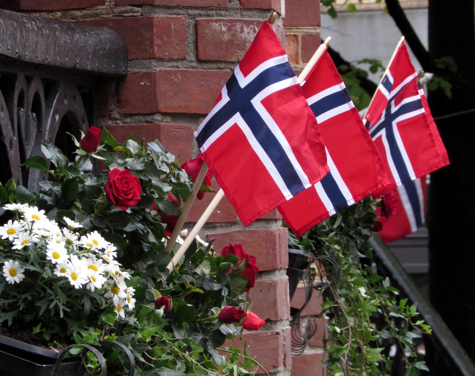 Norsk Flagg Photo Julia Norsk