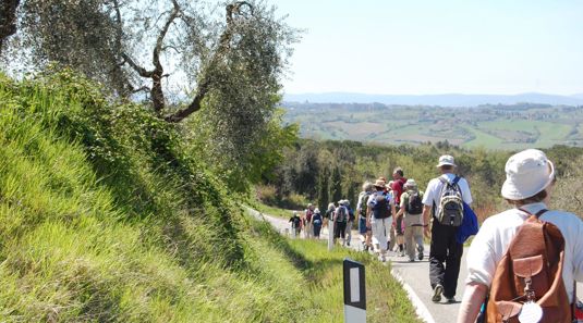 Vandretur i Toscana med Temareiser Fredrikstad