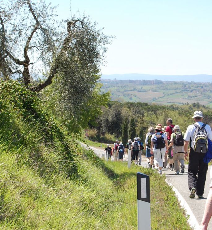 Vandretur i Toscana med Temareiser Fredrikstad