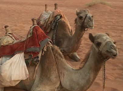 Reise til Jordan med Frode Rekve og Temareiser Fredrikstad