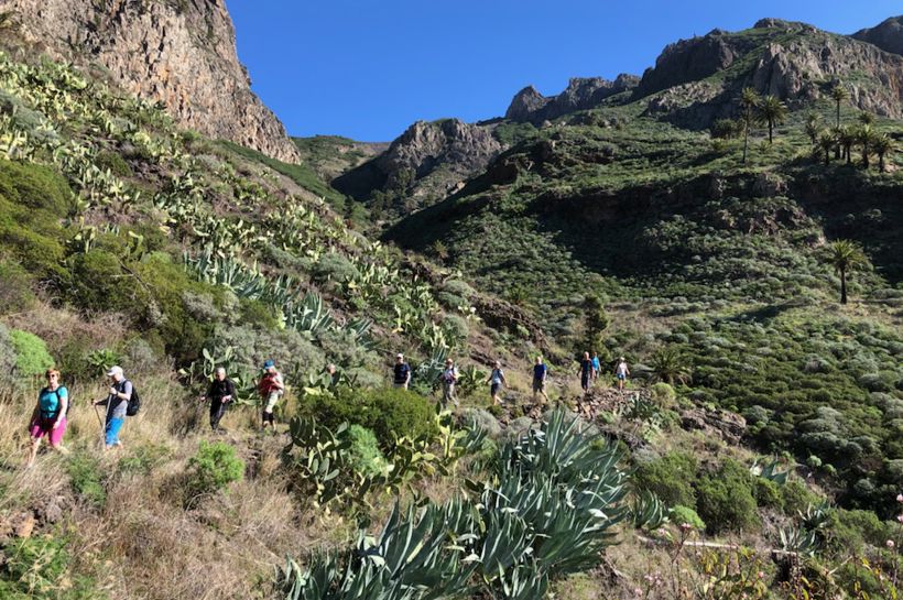 Vandretur La Gomera