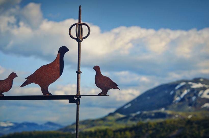 Høsthelg på Brimi Fjellstue med Temareiser Fredrikstad