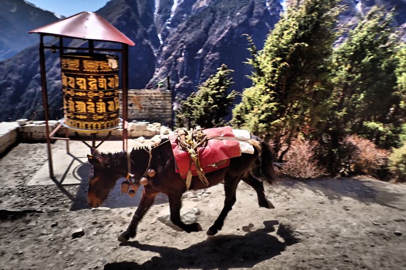 Reise til eventyrlige Nepal med Impact Norge og Temareiser Fredrikstad