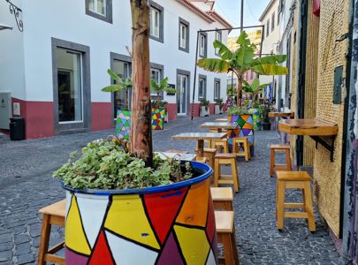 Reise til blomsterøya Madeira med Temareiser Fredrikstad