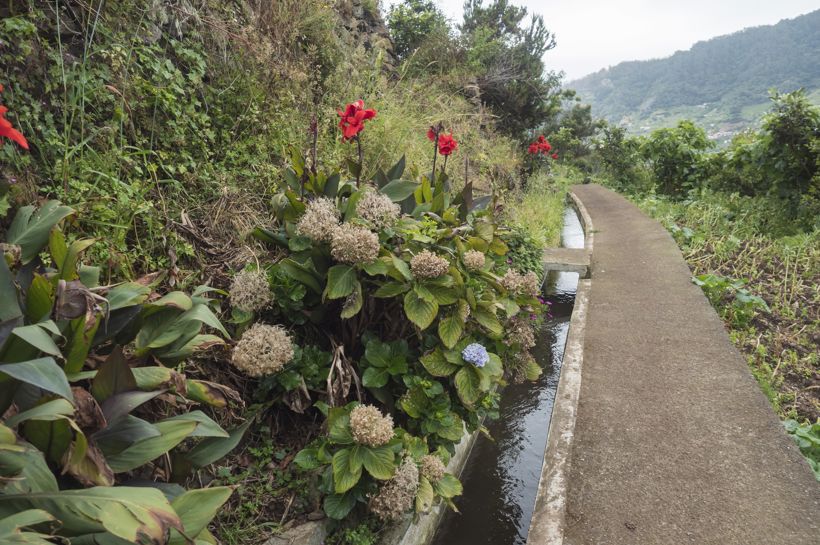 Reise til blomsterøya Madeira med Temareiser Fredrikstad