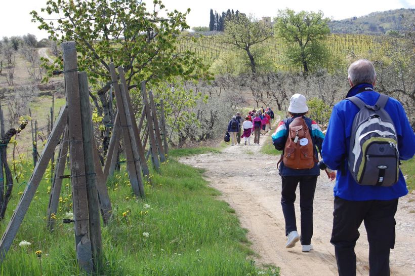 Vandretur i Toscana med Temareiser Fredrikstad