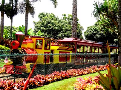 En reise i kultur og historie til Hawaii med Temareiser Fredrikstad