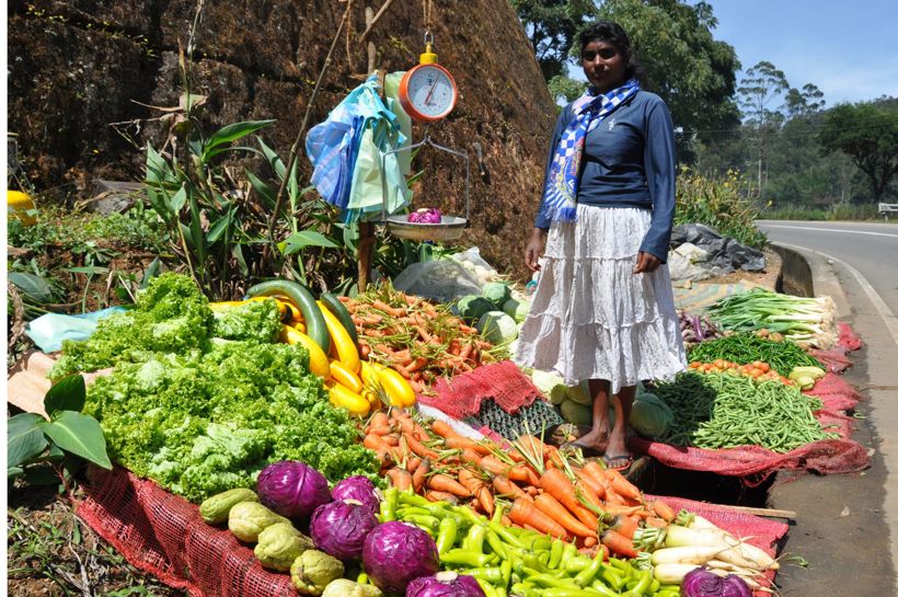 Reise til Sri Lanka med Temareiser Fredrikstad