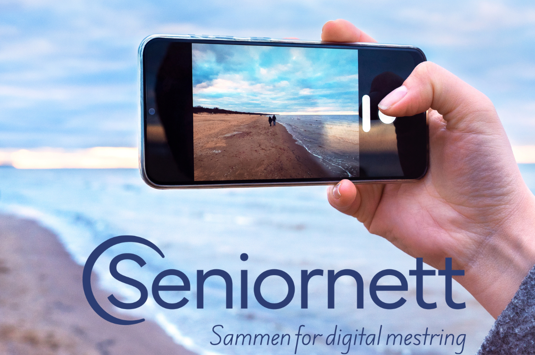 datakurs med seniornett